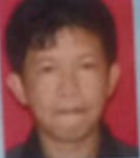 A, TAMININ